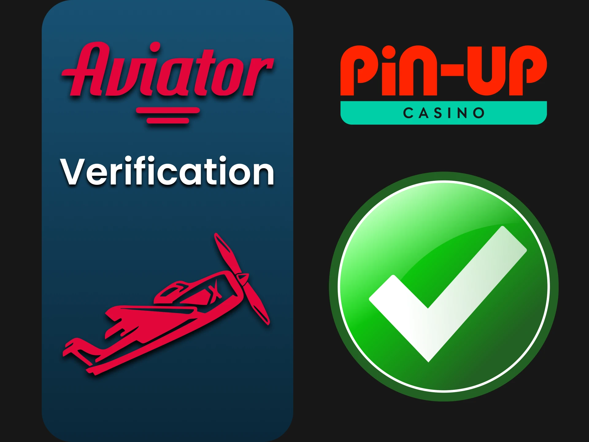 On the Pin Up website you need to fill in your details to play Aviator.