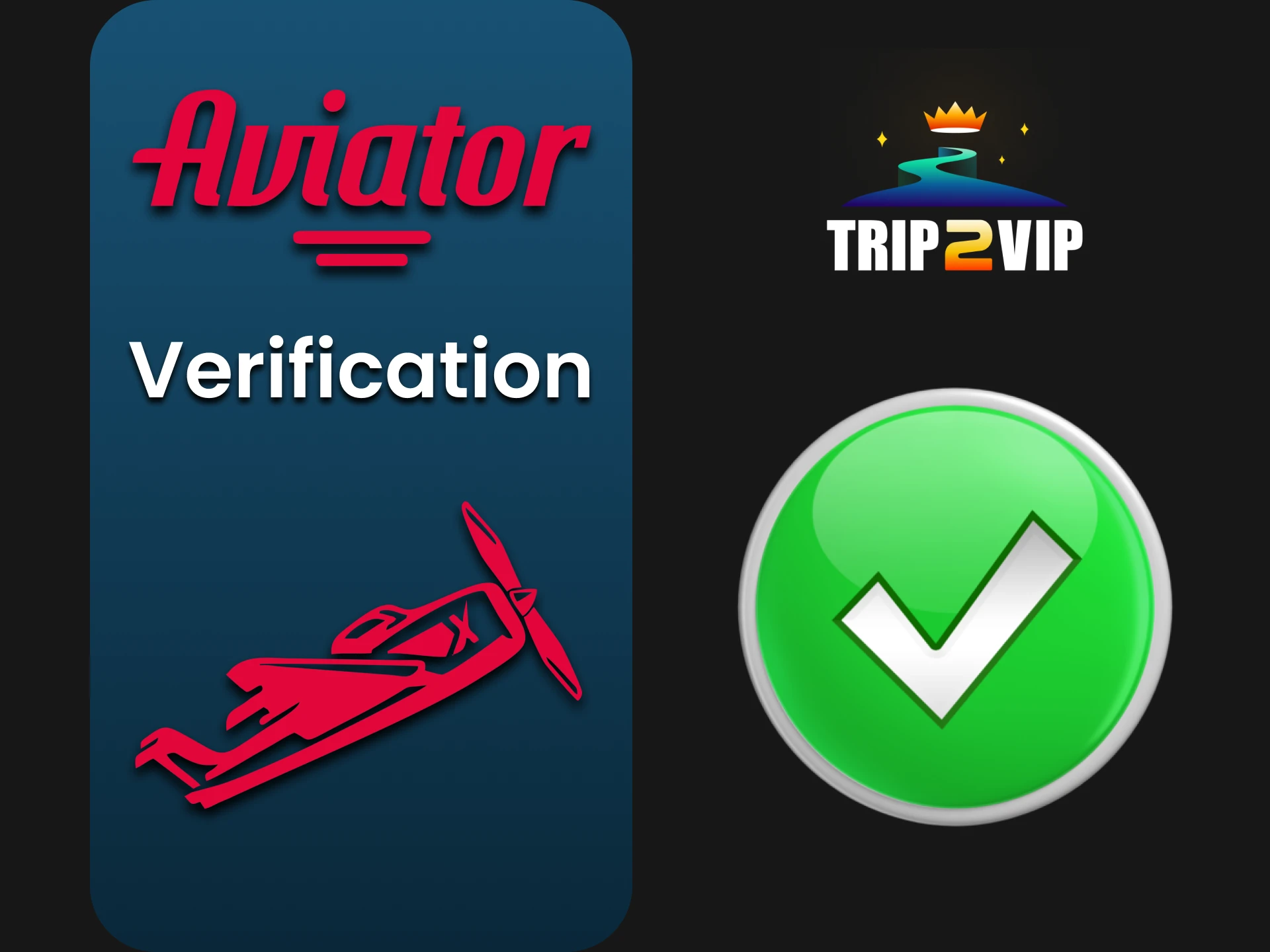 Be sure to fill out all the information on the Trip2Vip website for the Aviator game.