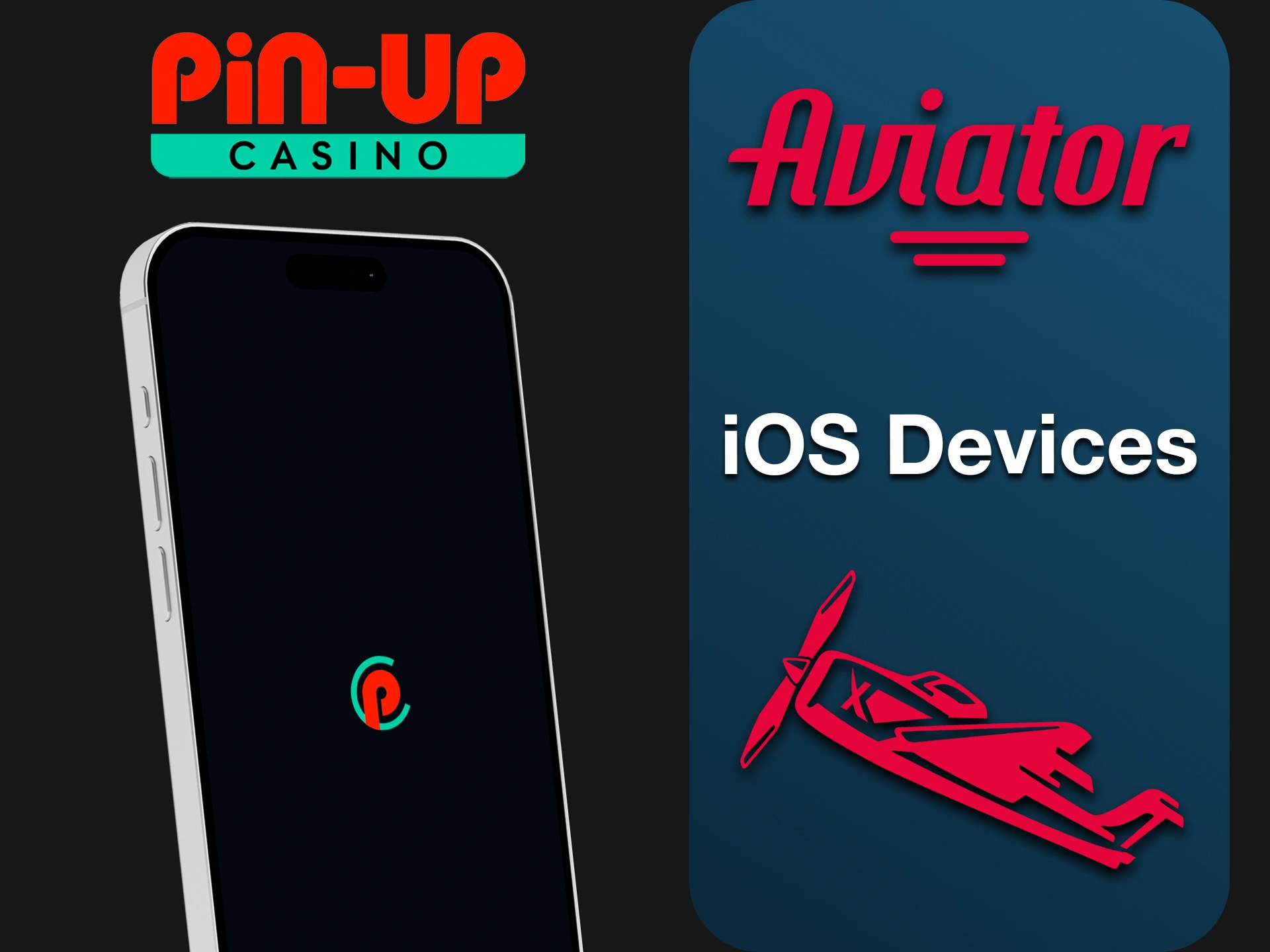 Find out if the Pin-Up app is available on your iOS device.